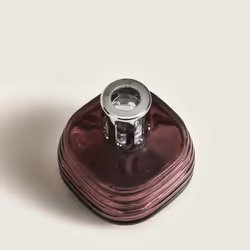 Maison Berger Paris 004823 aroma diffuser Fragrance bottle Glass Red, Silver