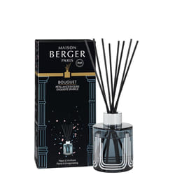 Maison Berger Paris MB6662 aroma diffuser Fragrance bottle Glass Grey, Silver