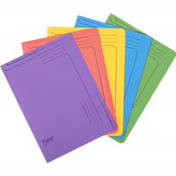 Pack of 5 slip files Forever - A4Pack of 5. Recycled board 290 gsm. Pre-printed for a smart identification of contents. 22x31 ...