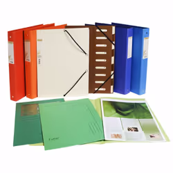 Exacompta Forever A4 Window Folder, 120 gsm, Assorted Colours, Pack of 50 - Additional view 10