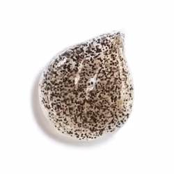 CHANEL Sublimage Les Grains De Vanille 50 g
