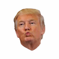 Funny USA President Donald Trump Kiss White Men T Shirt Tee Top - 5XL