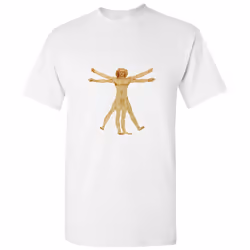 The Vitruvian Man Leonardo Da Vinci Science Men White Classic T Shirt Tee Tops - 3XL