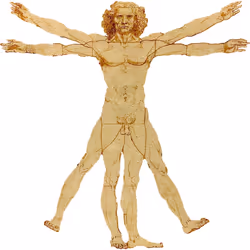 The Vitruvian Man Leonardo Da Vinci White Hoodie Hooded Sweat Mens Sweater - XL