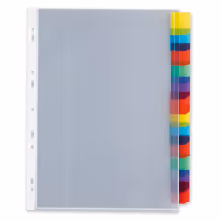 Oxford 100204586 divider Polyvinyl chloride (PVC) Transparent