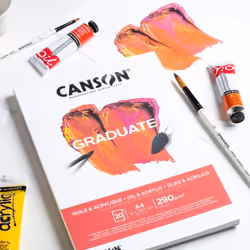 Canson Graduate, Art paper, 290 g/m², 20 sheets