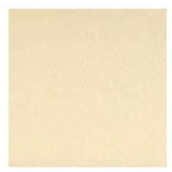 Canson Sand Grain Art paper pad 40 sheets