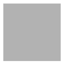 Canson C400110395 art paper Art paper pad 40 sheets