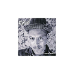 Bo Weavil and Band  A Son of Pride CD (2015)
