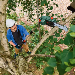 Bosch Home and Garden 06008B3170 Home and Garden UniversalChainPole 18 Cordless Telescopic Chainsaw with 18 V Lithium-Ion Battery - Additional view 4