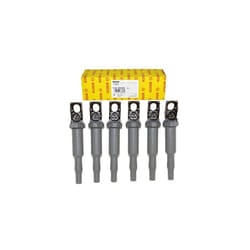 BMW Ignition Coil Bosch OEM (6pcs) 0221504465