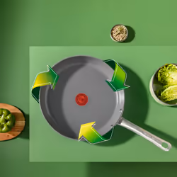 Tefal Renew+ C4240753 frying pan All-purpose pan Round