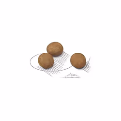 Royal Canin Maxi Adult 15 kg - Additional view 5
