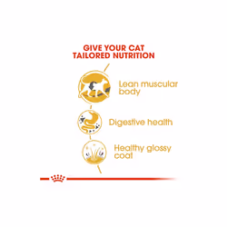 Royal Canin Siamese Cat Digestive & Urinary Health Glossy Coat 4kg