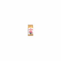 Royal Canin Persian Kitten Food Nutritional Support Skin & Coat 4kg