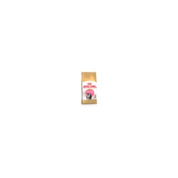 Royal Canin Persian Kitten Food Nutritional Support Skin & Coat 4kg
