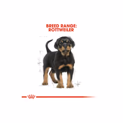 Royal Canin Rottweiller Puppy Food Immune System Support 12kg