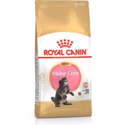 Royal Canin Maine Coon Kitten, Kitten, Maine Coon, Poultry, Rice, 400 g, Antioxidants included