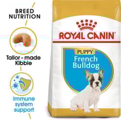 Royal Canin Dog Food French Bulldog Puppy 10 kg