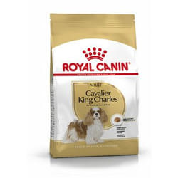 Royal Canin Cavalier King Charles Adult 3 kg Poultry