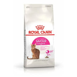 Royal Canin Savour Exigent cats dry food 10 kg Adult Maize
