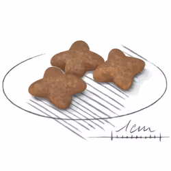 Royal Canin Mini Dog Food
