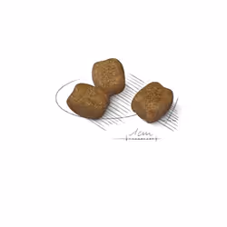 Royal Canin Mini Dental Care 3 kg Adult Poultry