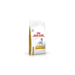 ROYAL CANIN Urinary S/O Ageing 7+ Dog- 8kg