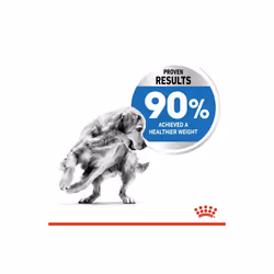 Royal Canin CCN Maxi Light Weight Care Healthy Weight Maintenance 12kg