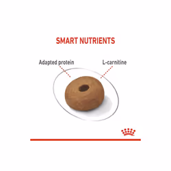 Royal Canin CCN Maxi Light Weight Care Healthy Weight Maintenance 12kg