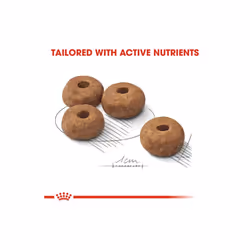 Royal Canin CCN Medium Sterilised Dog Maintain Ideal Body Weight 12kg - Additional view 4