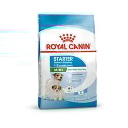 Royal Canin Mini Starter Mother & Babydog Food Vitamin Nutritional 4kg