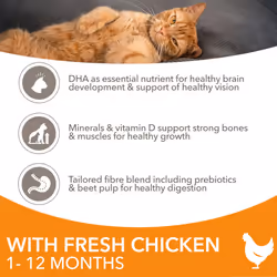 IAMS Complete Dry Cat Food for Kittens with Chicken 10 kg