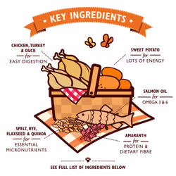 Lily's Kitchen Made with Natural Ingredients Adult Dry Dog Food Chicken Pie with Ancient Grains 1kg bag pack of 4