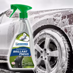 Michelin 009161 Tyre Cleaner aerosol 500