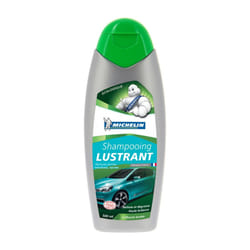 Michelin 009162 Paint Cleaner Bottle 500 Biodegradable