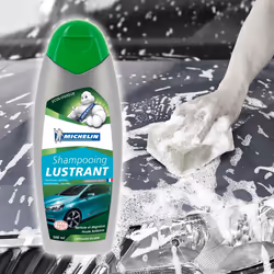 Michelin 009162 Paint Cleaner Bottle 500 Biodegradable