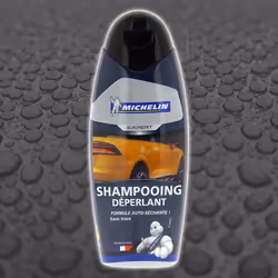 Michelin Expert 009416 Paint Cleaner Bottle 500 Water-repellent
