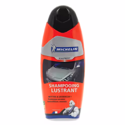 Paint Cleaner; Michelin; Expert; Bottle 500