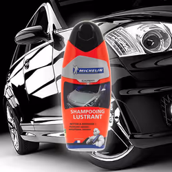 Michelin Expert 009444 Paint Cleaner Bottle 500