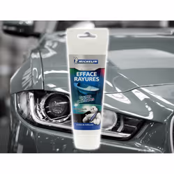 Michelin Expert 009446 Paint Cleaner Tube 100