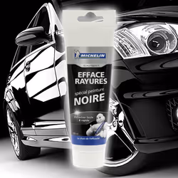 Michelin Expert 009468 Paint Cleaner Tube 100