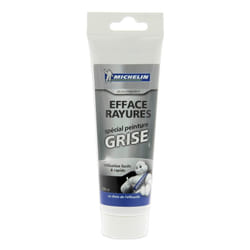 Michelin Expert 009469 Paint Cleaner Tube 100