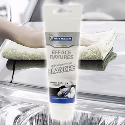 Michelin Expert 009470 Paint Cleaner Tube 100