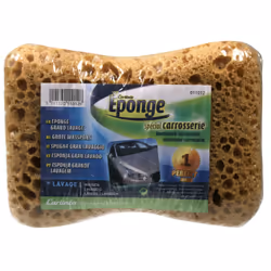 Carlinea 3221320110126 sponge Brown 1 pc(s)