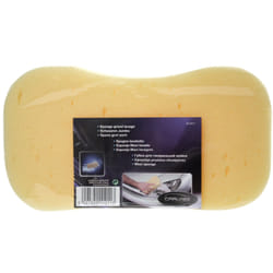 Carlinea 3221320112113 sponge Beige 1 pc(s)
