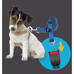 Animals&Car 170004 dog/cat lead 0.65 m Blue Polyester Universal Seat belt safety lead