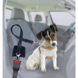 Animals&Car 170010 dog/cat lead 1.2 m Black Polyester Seat belt safety lead