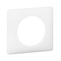 Legrand 066631 wall plate/switch cover