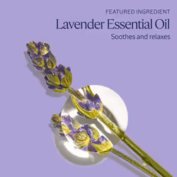 L'OCCITANE Lavender Foaming Bath: Relaxing and Cleansing Bubble Bath  Soothing Scent  with Lavender Essential Oil  16.9 Fl. Oz Refill